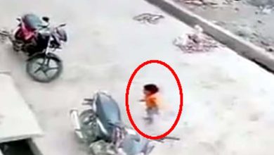 Shabda Chakra News, शब्द चक्र न्यूज, Breaking News, ताजा खबरें, Latest Hindi News, हिंदी समाचार, CommonManIssue, Off Beat News, Khabren Zara Hatke, Maharashtra News, Viral video of a girl falling from a building in Wasim, Viral videos of social media, viral social media videos, viral social media girl falling video