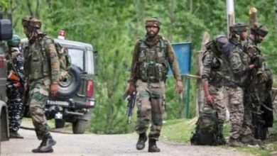 Jammu and Kashmir, Rajouri Army Ambulance Accident, J&K Army Ambulance Accident, J&K Army Ambulance Fell Into Gorge, Two Army Personnel Died in J&K, Rajouri Army Ambulance Fell Into Gorge