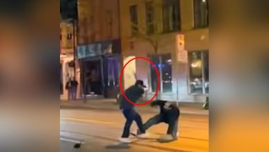 Shabda Chakra News, शब्द चक्र न्यूज, Canada, Toronto, Street Fight Video, Strange But True, Strange Weapon, Snake Used As Weapon, Beating Video, Man Made The Snake Hunter, Saanp Ko Banaya Chabuk, Viral Video,