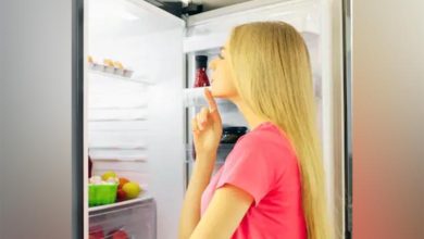 Fridge Care Tips, Fridge Working, Utility News, Refrigerator Secret Button, Gadgets, Science And Technology,