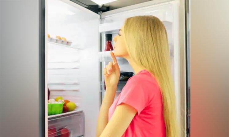 Fridge Care Tips, Fridge Working, Utility News, Refrigerator Secret Button, Gadgets, Science And Technology,