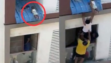 Chennai Viral Video, Chennai Baby Falls From Fourth Floor, Baby Falls From The Apartment, Chennai Rescue Video