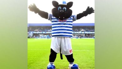 QPR Mascot 'Jude The Cat'