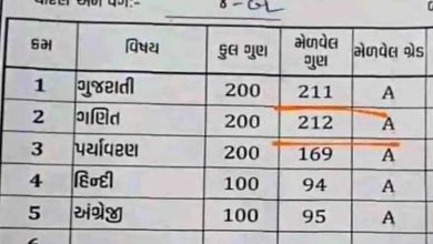 Gujarat News, Class Four Student of Gujarat, Gujarat Student Scores 212 In Maths, 212 Numbers Out Of 200, Gujarat Board, Gujarat Education, Class Four Student of Gujarat Marksheet